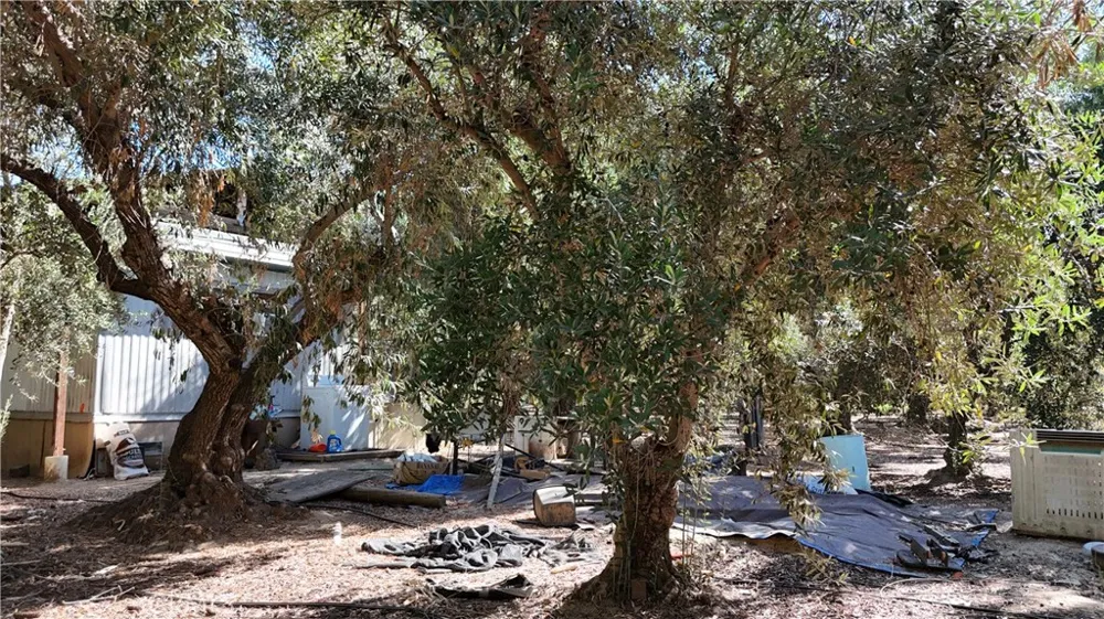 23265 Viola ave Corning, CA 96021