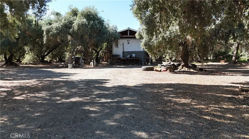 23265 Viola ave Corning, CA 96021