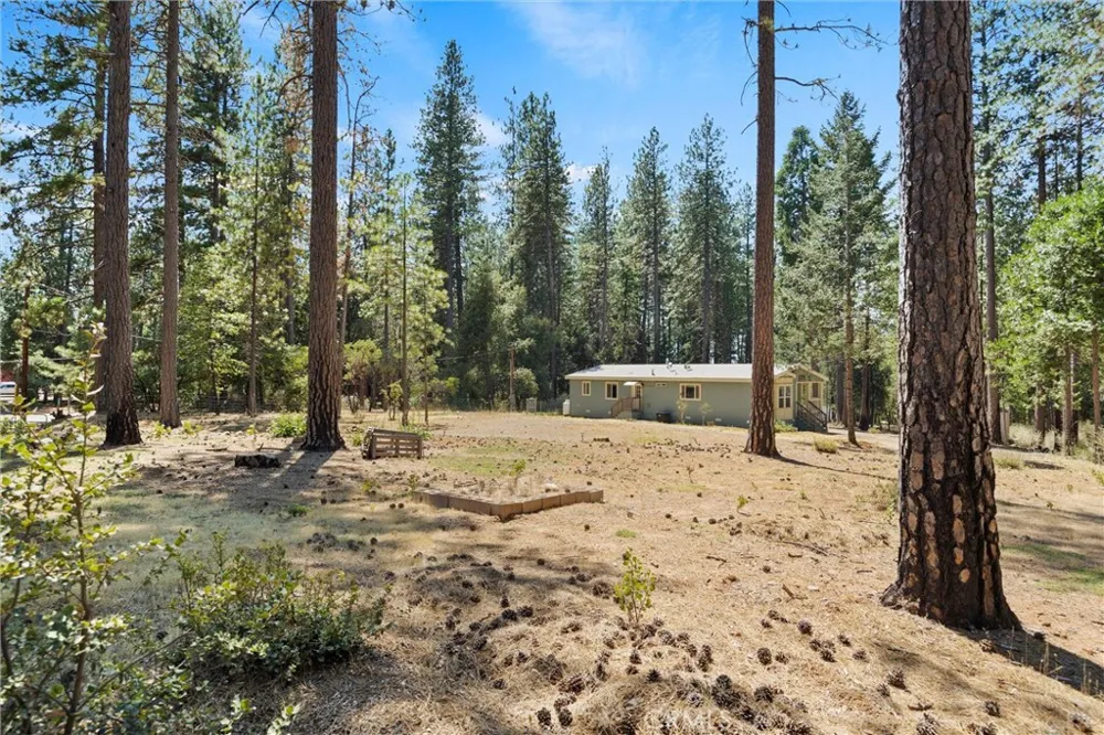 14565 Coutolenc Magalia, CA 95954