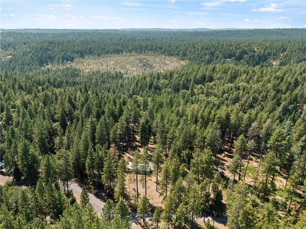 14565 Coutolenc Magalia, CA 95954