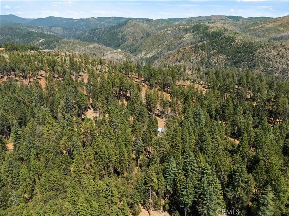 14565 Coutolenc Magalia, CA 95954