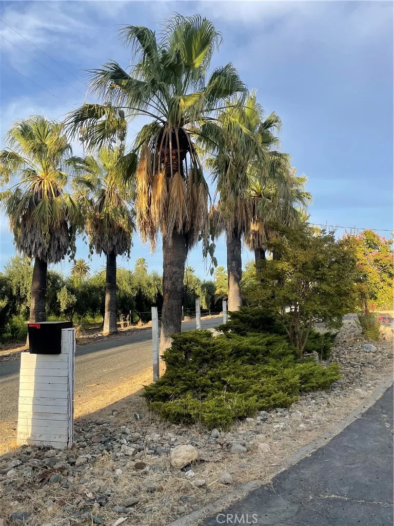23465 Carona Ave Corning, CA 96021
