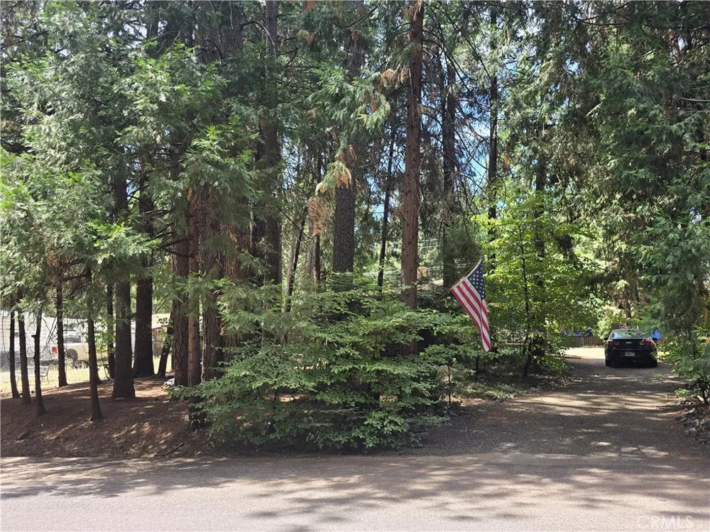 14837 Wood Magalia, CA 95954