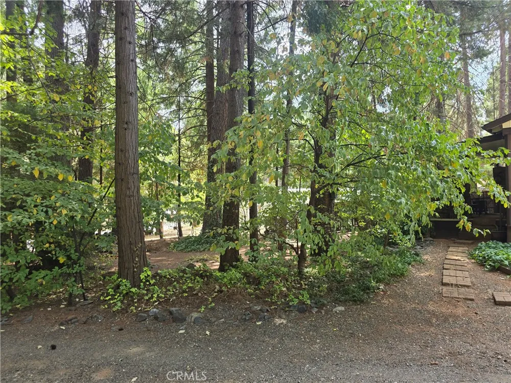 14837 Wood Magalia, CA 95954