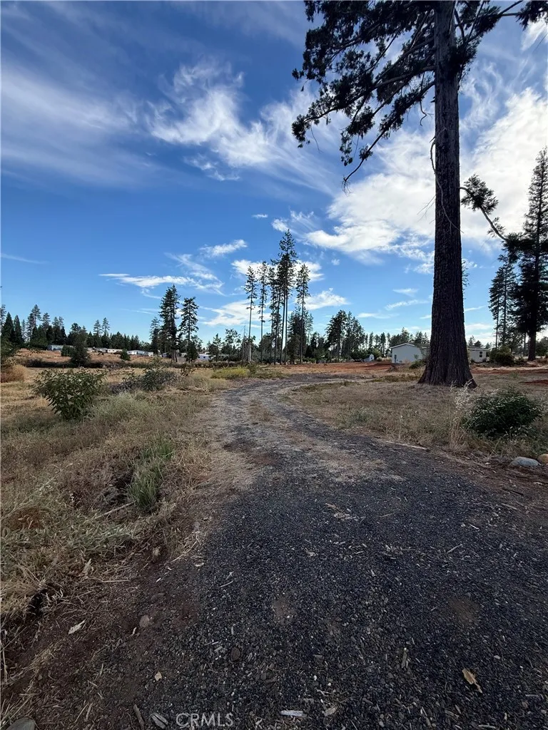 1346 Wagstaff Paradise, CA 95969