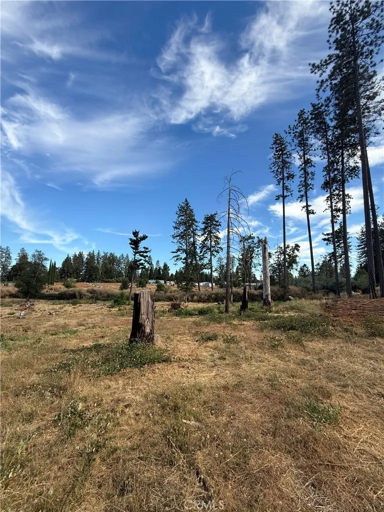 1346 Wagstaff Paradise, CA 95969
