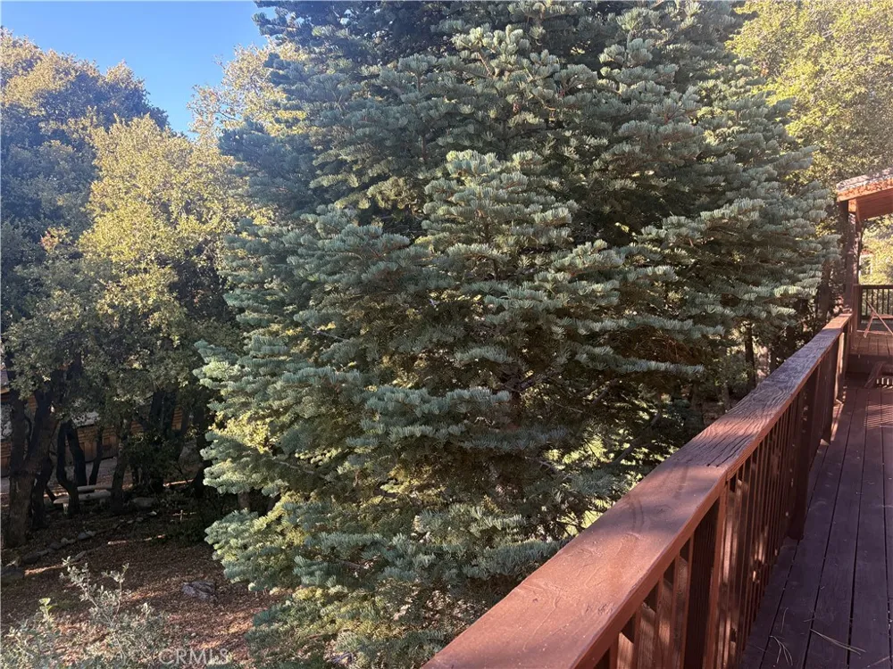 1800 Linden Drive Pine Mountain Club, CA 93222