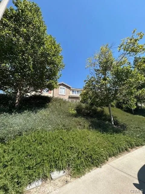 18002 Flynn #6208 Canyon Country, CA 91387