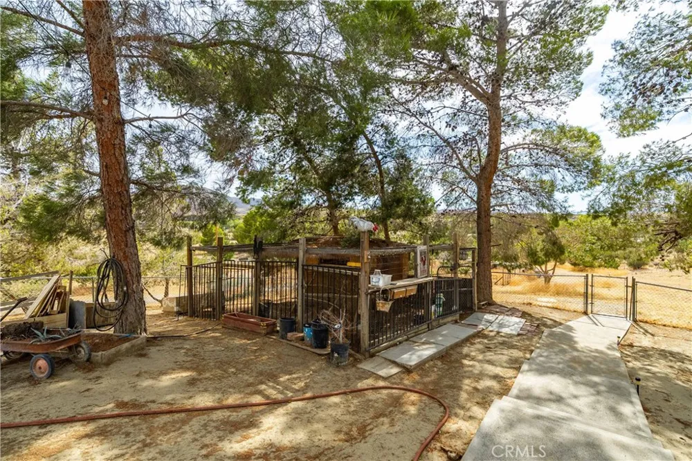 34920 Cheseboro Palmdale, CA 93552