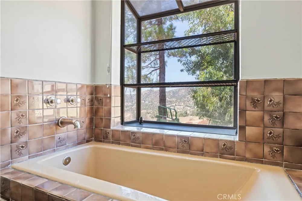 2945 Shannon Valley Acton, CA 93510