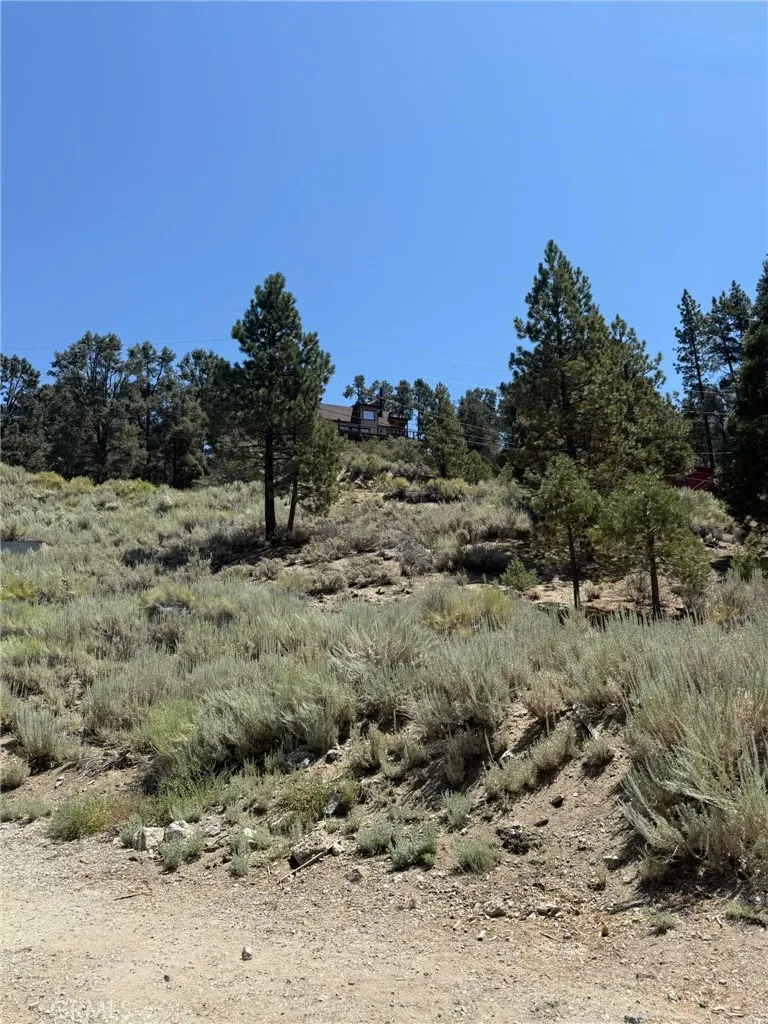 2201 Ironwood Pine Mountain Club, CA 93222