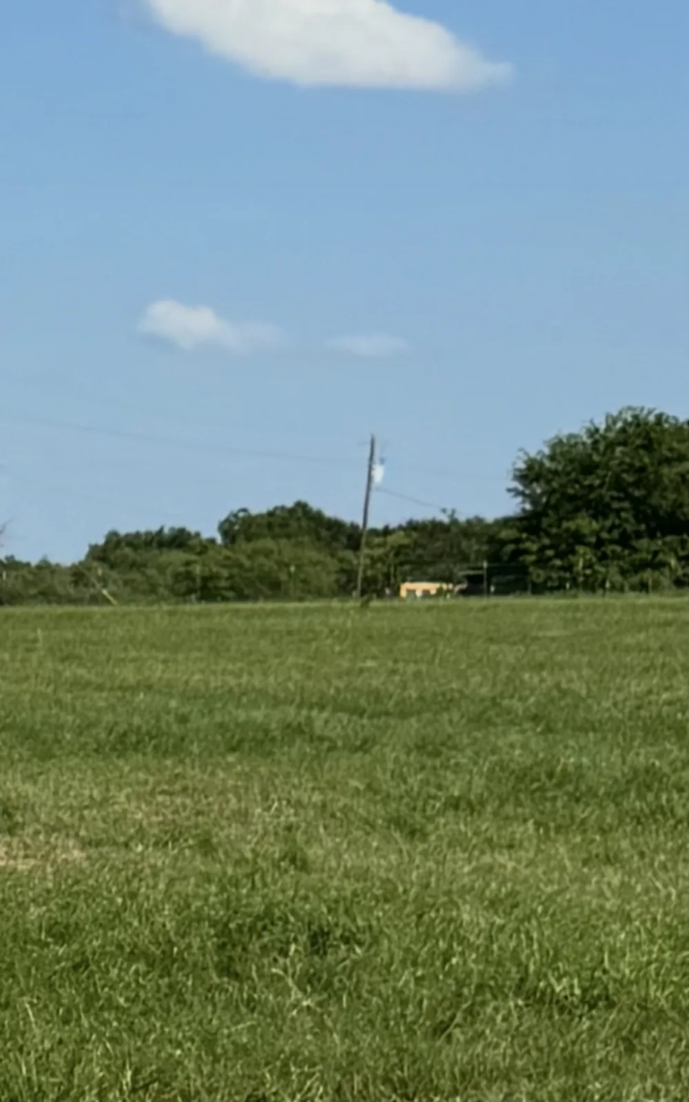 16084 Wood Rd Highway Holland, TX 76534