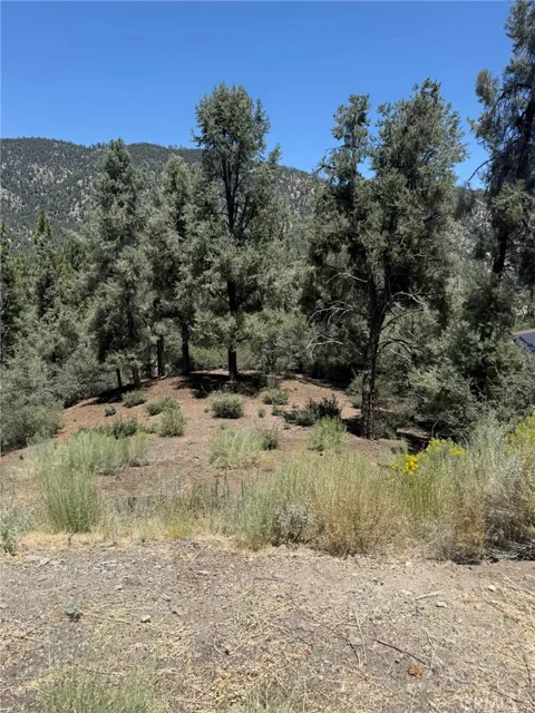 2424 Cedarwood