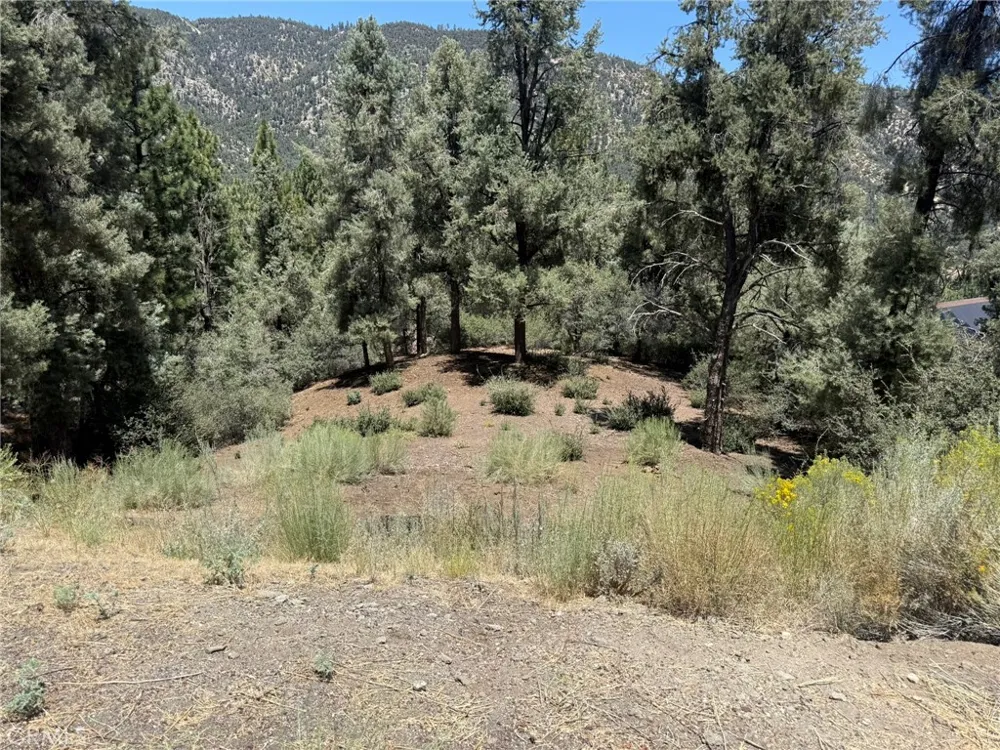 2424 Cedarwood Pine Mountain Club, CA 93222