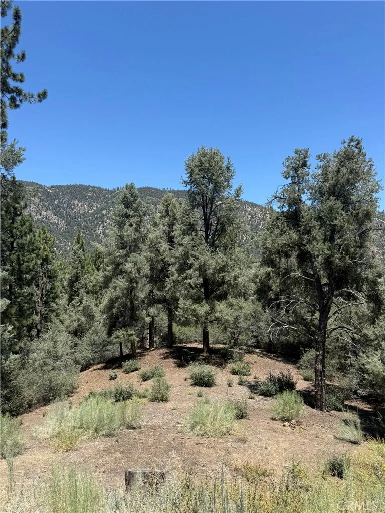 2424 Cedarwood Pine Mountain Club, CA 93222