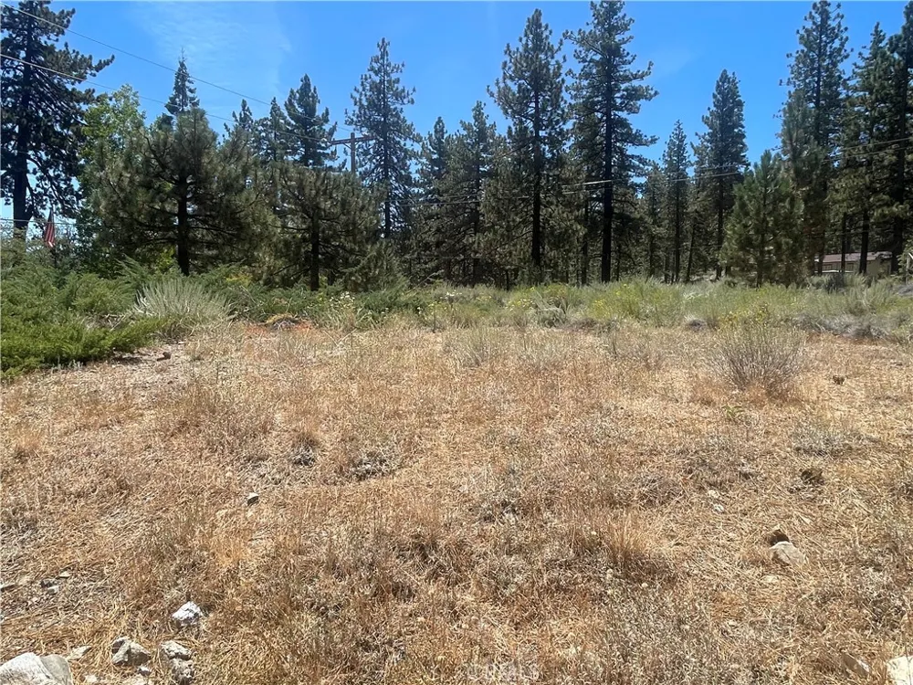 1753 Pineridge Frazier Park, CA 93225
