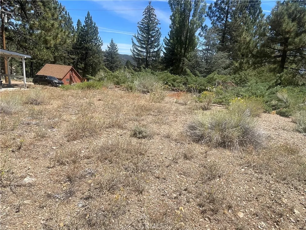 1753 Pineridge Frazier Park, CA 93225