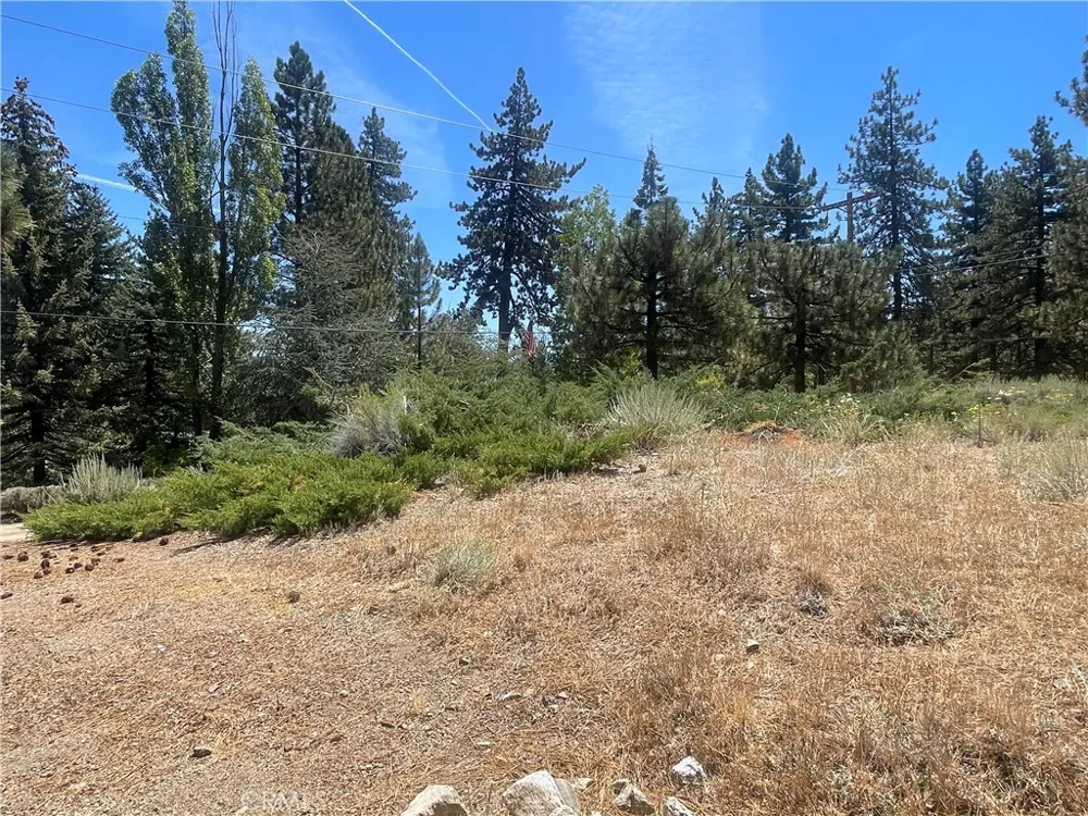 1753 Pineridge Frazier Park, CA 93225