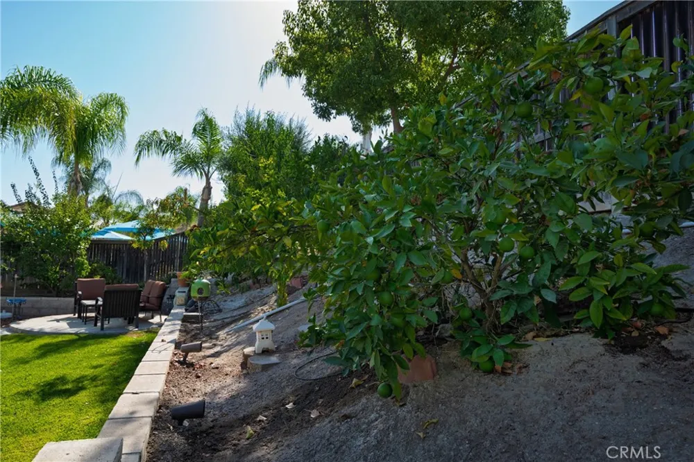 31681 Flowering Plum Court Winchester, CA 92596