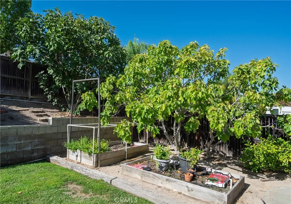 31681 Flowering Plum Court Winchester, CA 92596