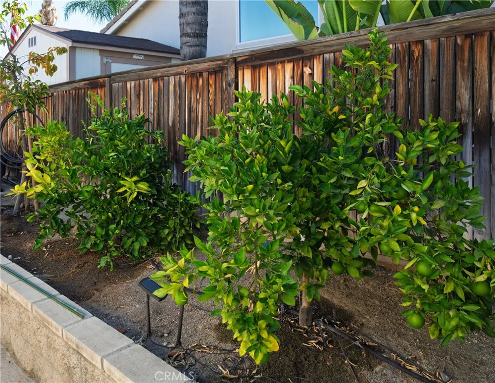 31681 Flowering Plum Court Winchester, CA 92596