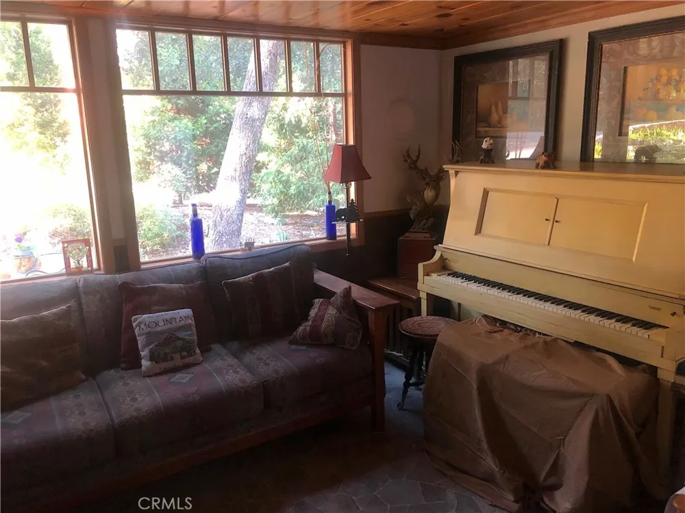9112 Torrey Pines Road Forest Falls, CA 92339