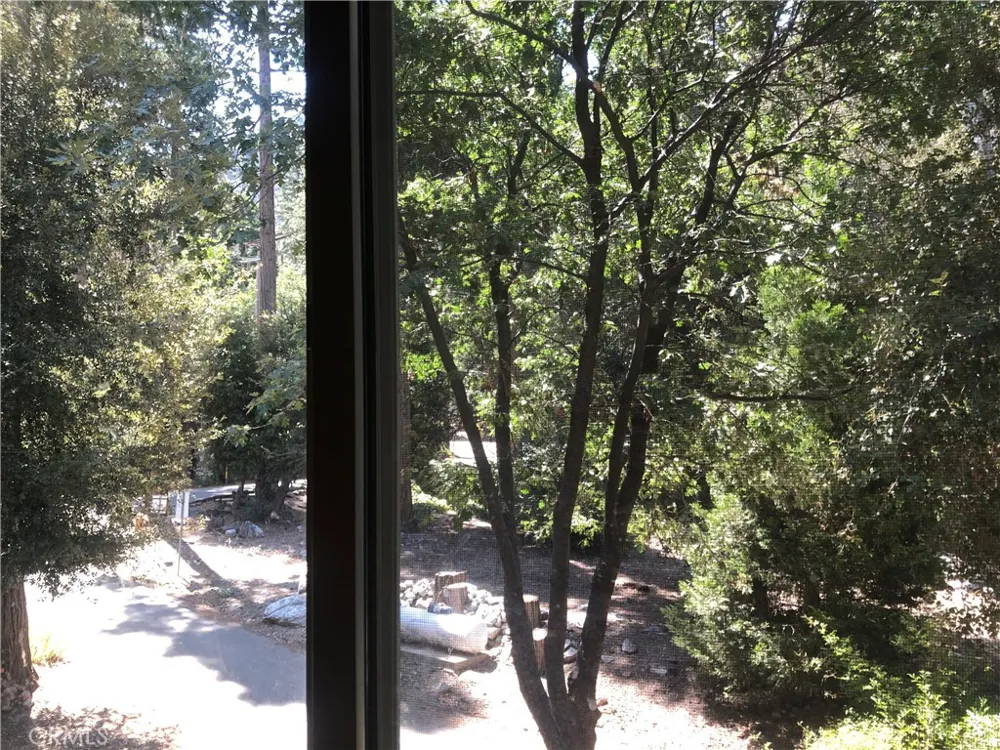 9112 Torrey Pines Road Forest Falls, CA 92339