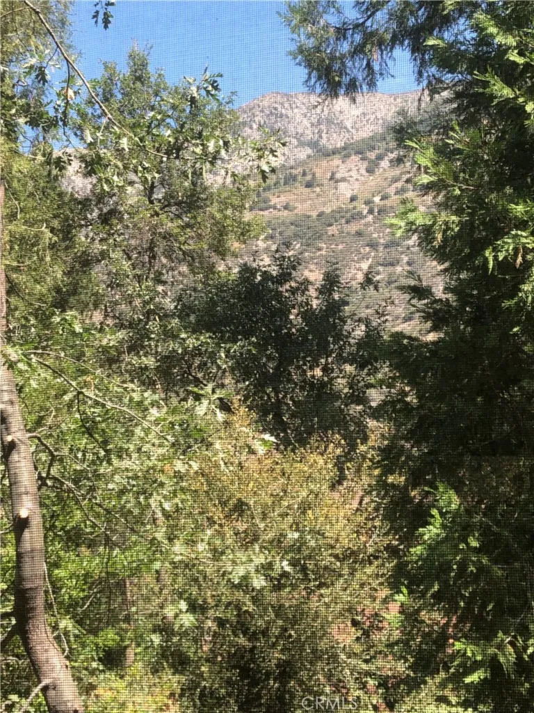 9112 Torrey Pines Road Forest Falls, CA 92339