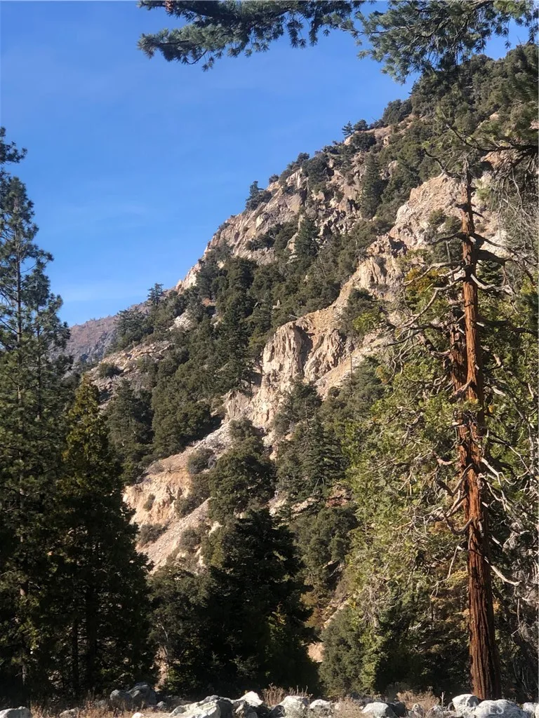 9112 Torrey Pines Road Forest Falls, CA 92339