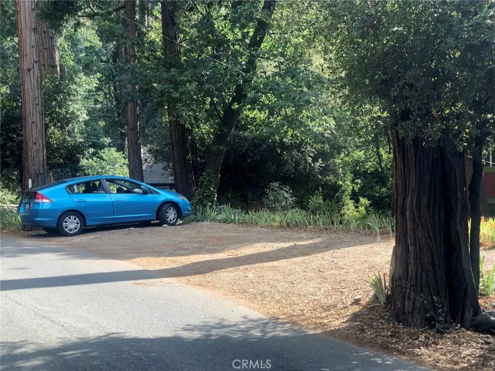 9112 Torrey Pines Road Forest Falls, CA 92339