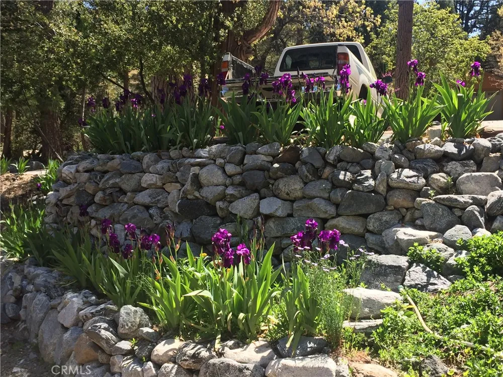 9112 Torrey Pines Road Forest Falls, CA 92339