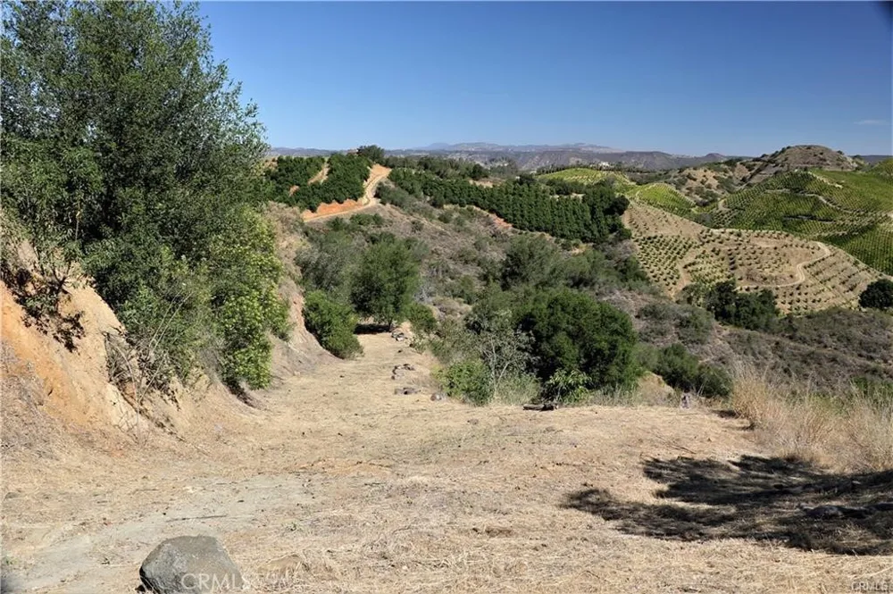 Calle Uva Temecula, CA 92590