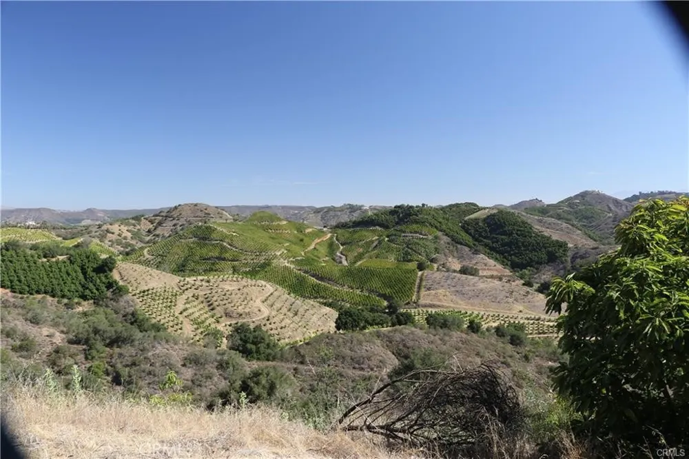 Calle Uva Temecula, CA 92590