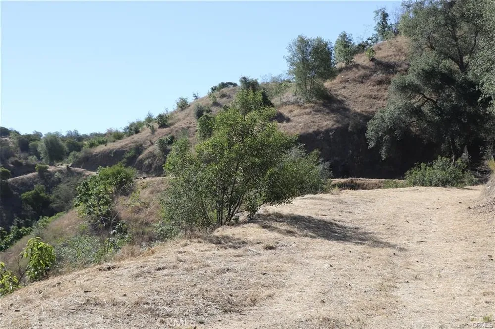 Calle Uva Temecula, CA 92590