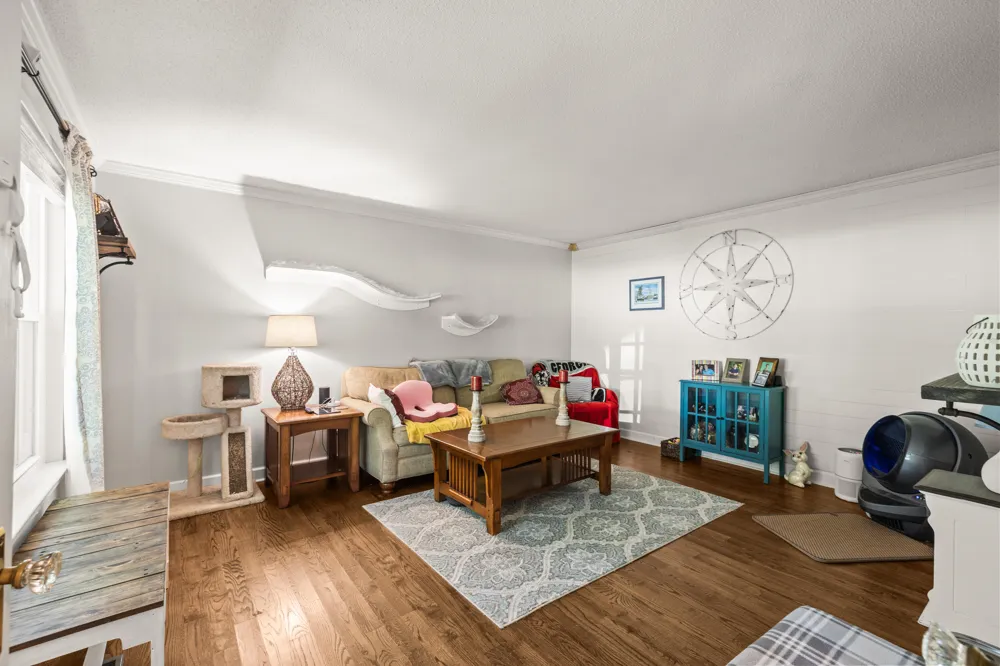 253 Dailey Hill Circle Ringgold, GA 30736