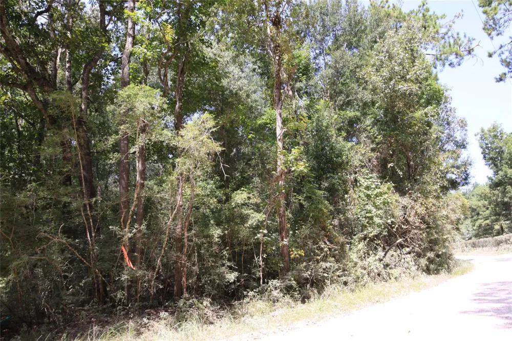 Garcia Road Batson, TX 77519