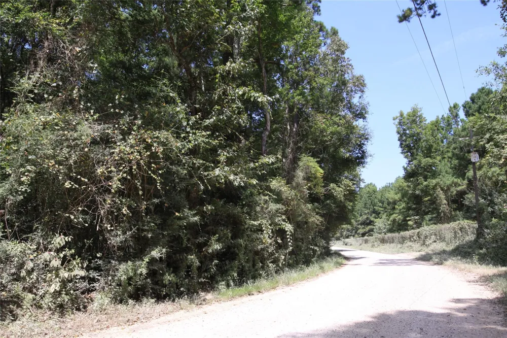 Garcia Road Batson, TX 77519