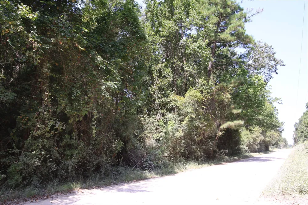 Garcia Road Batson, TX 77519