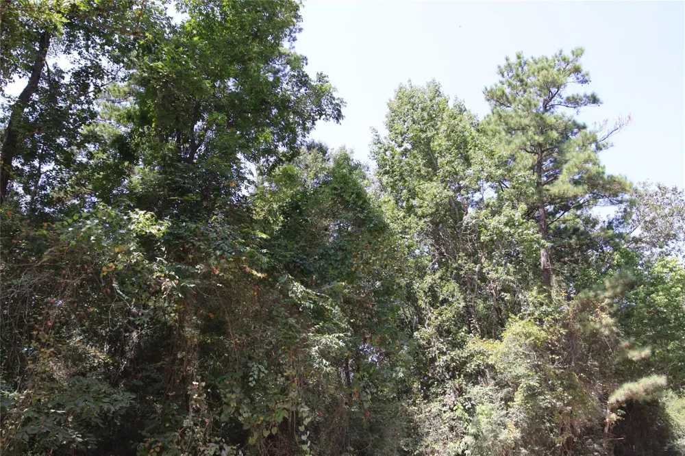 Garcia Road Batson, TX 77519