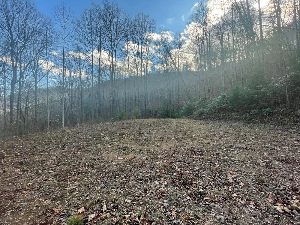 Wild Turkey Drive Sylva, NC 28779