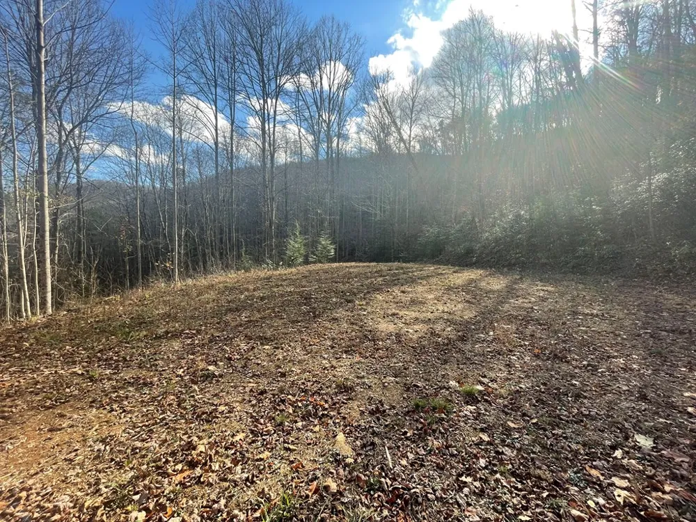 Wild Turkey Drive Sylva, NC 28779