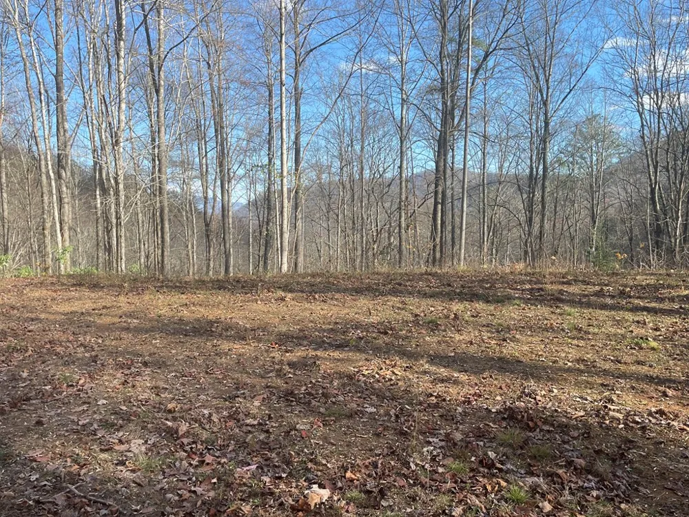 Wild Turkey Drive Sylva, NC 28779