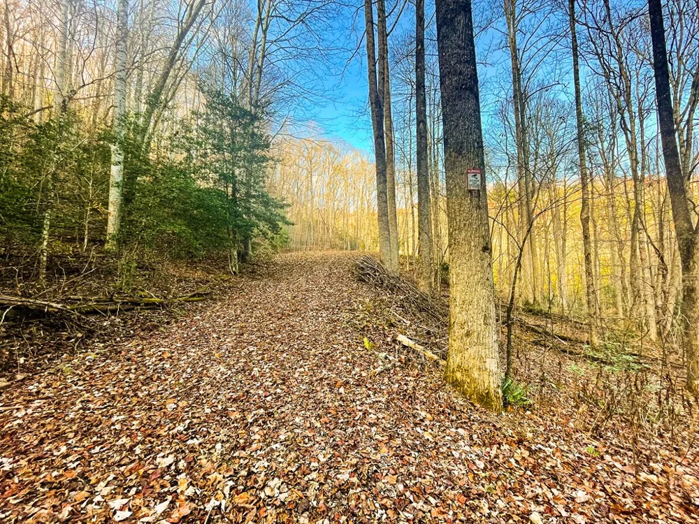 Wild Turkey Drive Sylva, NC 28779