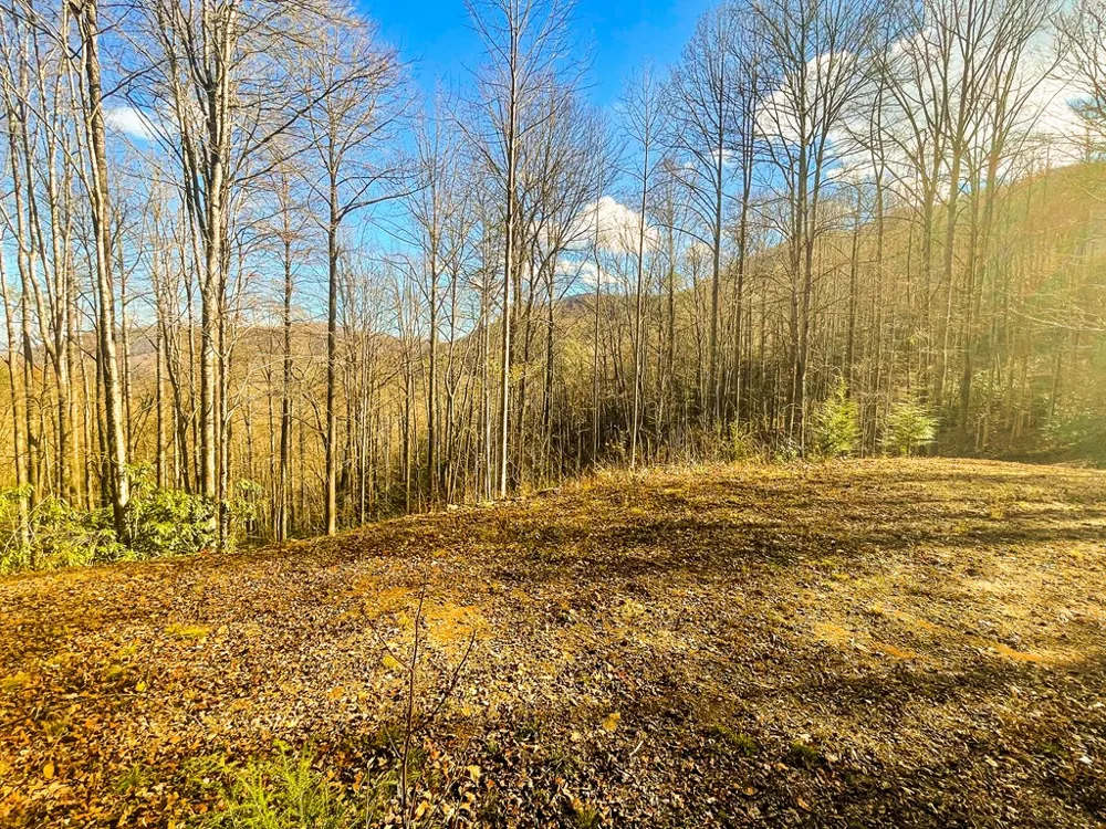 Wild Turkey Drive Sylva, NC 28779