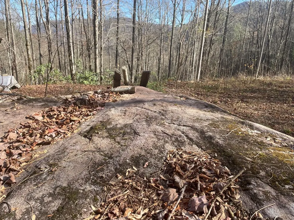 Wild Turkey Drive Sylva, NC 28779