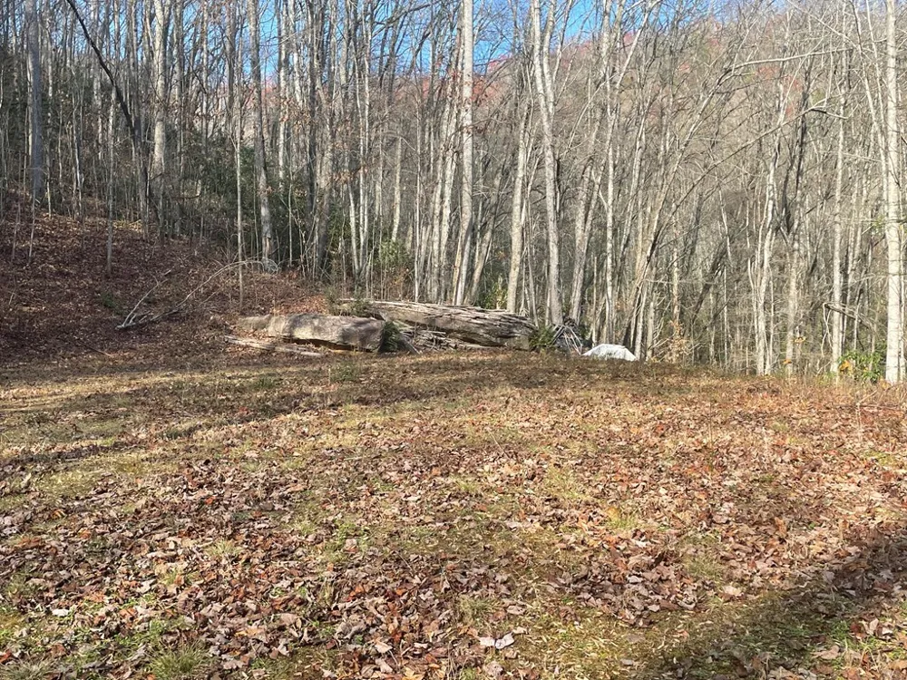 Wild Turkey Drive Sylva, NC 28779