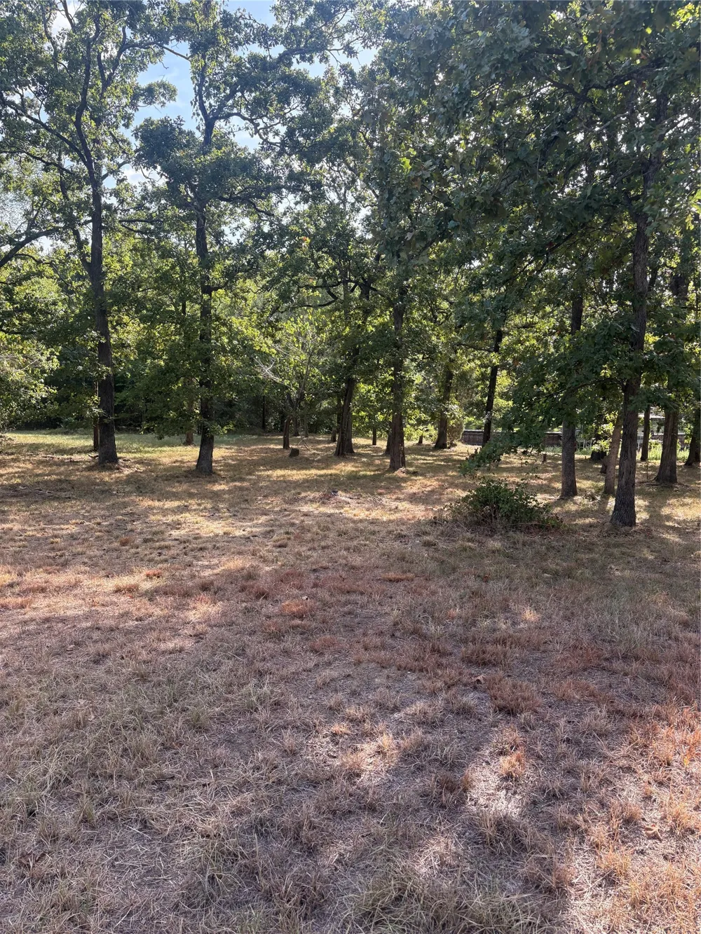 360 Buena Vista Malakoff, TX 75148