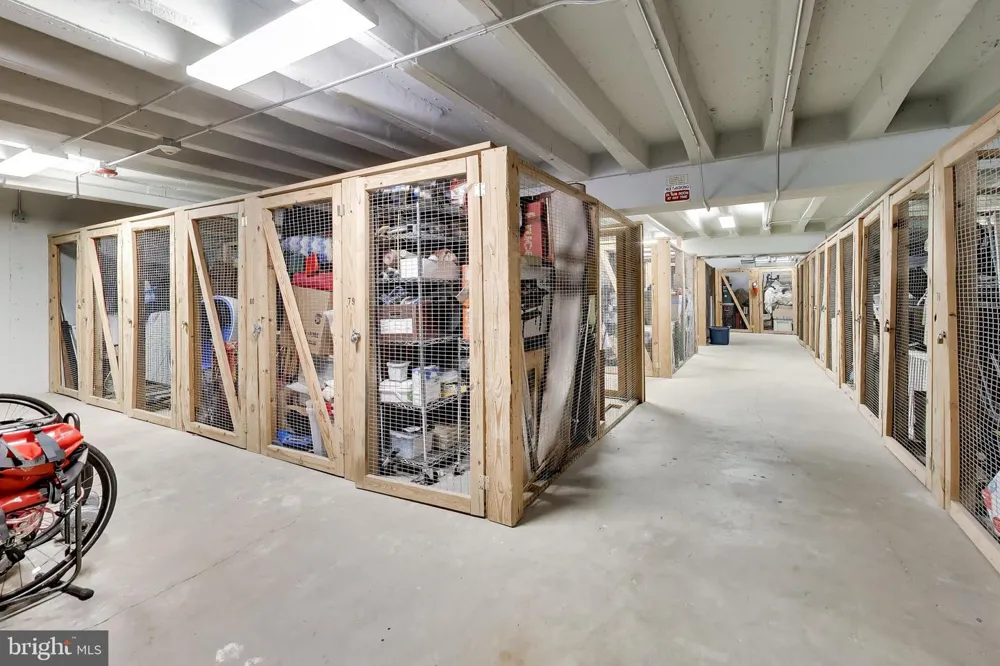 4301 MASSACHUSETTS AVENUE NW #5014 Washington, DC 20016