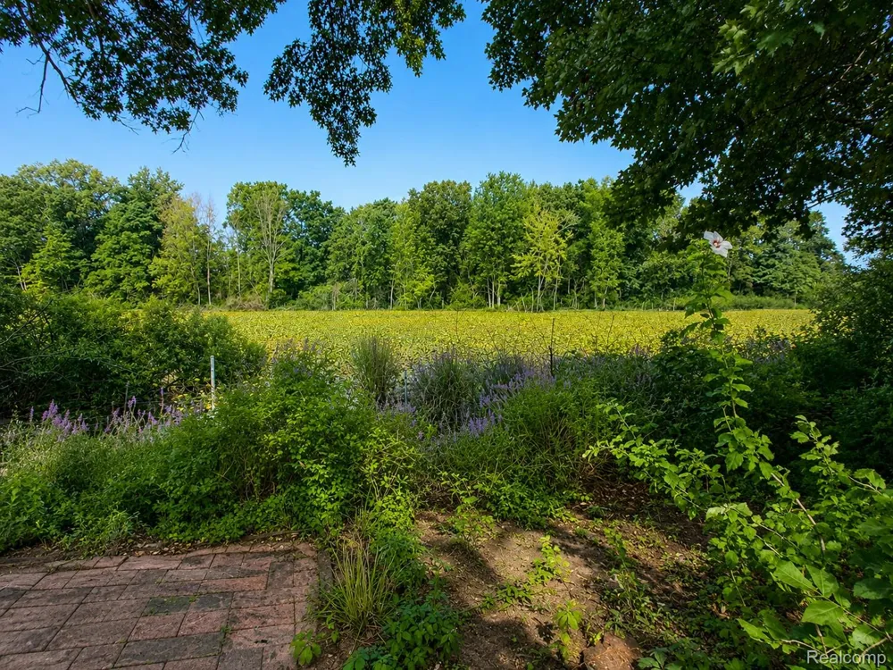 29 Dusty Trail Bedford Charter Township, MI 49017