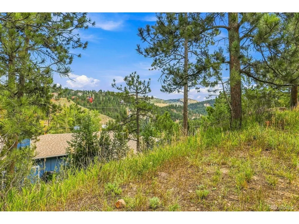 26222 S End Road Kittredge, CO 80457